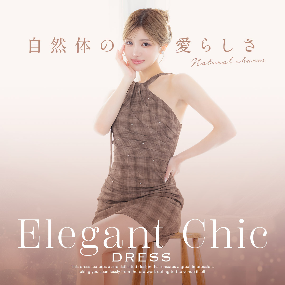 Elegant Chic Dress