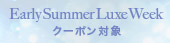 セールアイコン