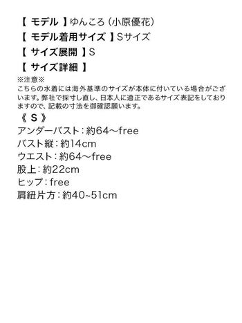 クリア ストラップ インナー ブラ 三角 ビキニ [ゆんころ、KAREN/水着着用]