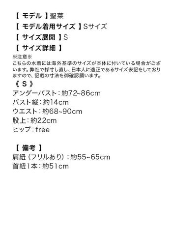 アシンメトリー ワンカラー フリル ホルターネック ビキニ [聖菜/水着着用]