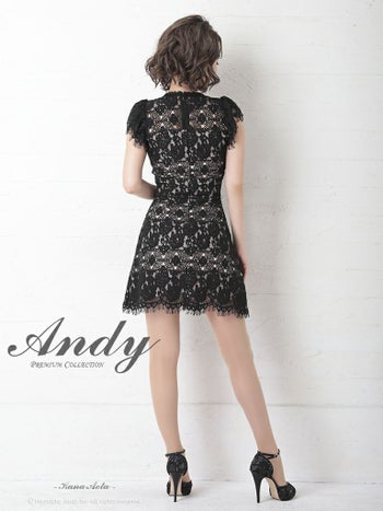 Andy[アンディ]ハイネック シアー フラワーレース ワンカラー 半袖 台形スカート 高級ミニドレス[ブラックベージュ][青田夏奈/キャバドレス着用][2633-0]