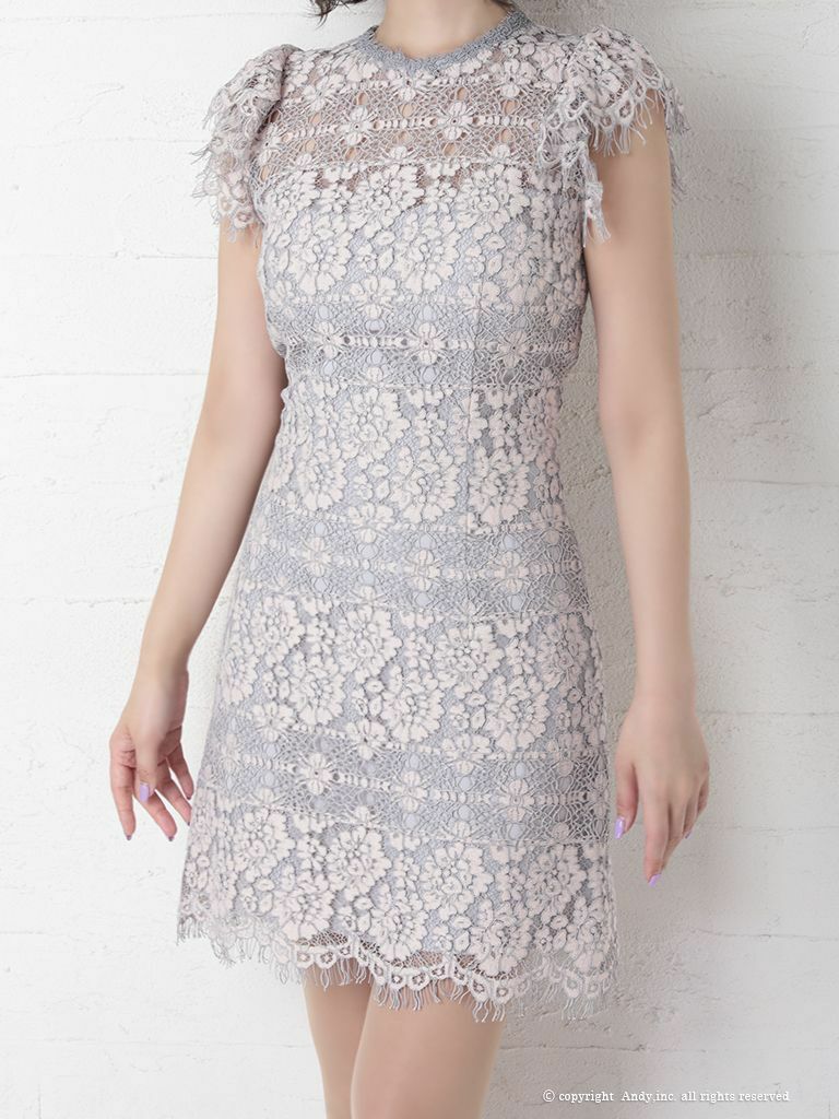 Andy[アンディ]ハイネック シアー フラワーレース ワンカラー 半袖 台形スカート 高級ミニドレス[ピンクグレー][青田夏奈/キャバドレス着用][2633-1]