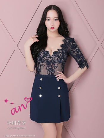 刺繍レース バストカット 袖あり セットアップ風 ボタンスカート タイトミニドレス