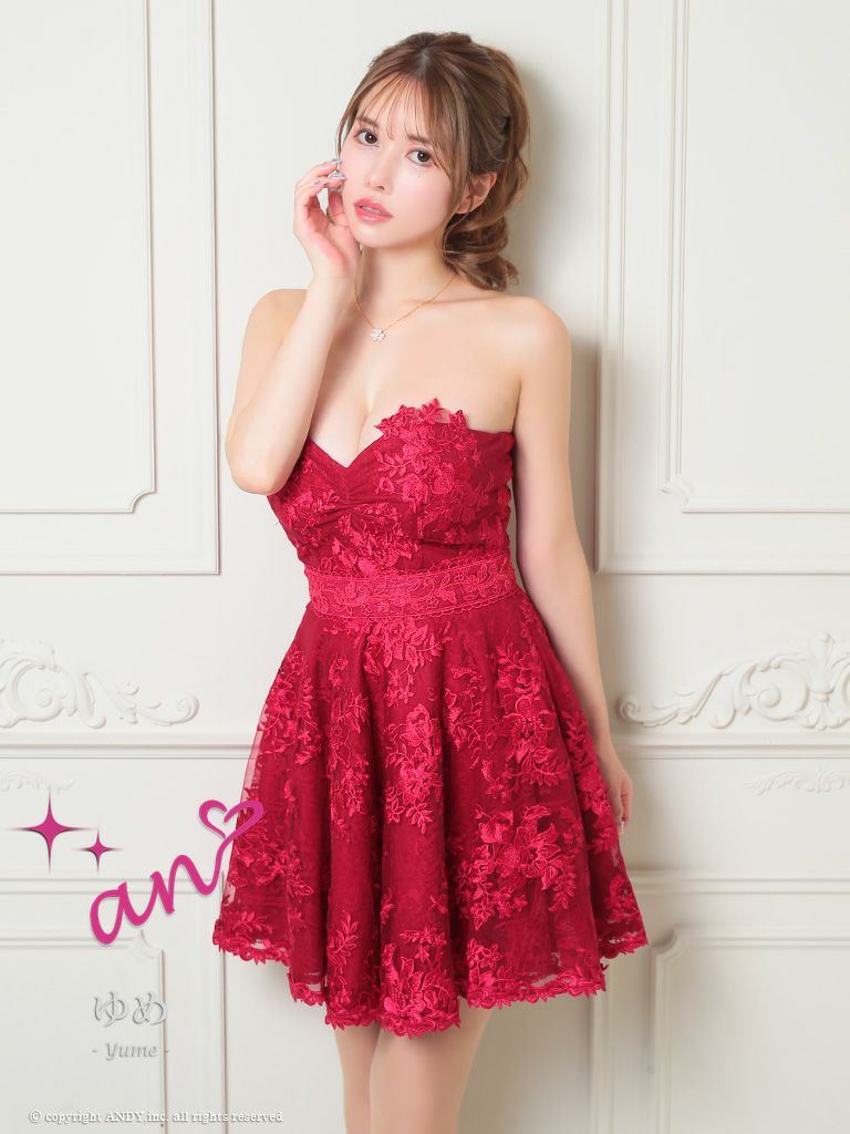 an/アン】レース フラワー刺繍 ベアトップ フレアミニドレス(aoc3557