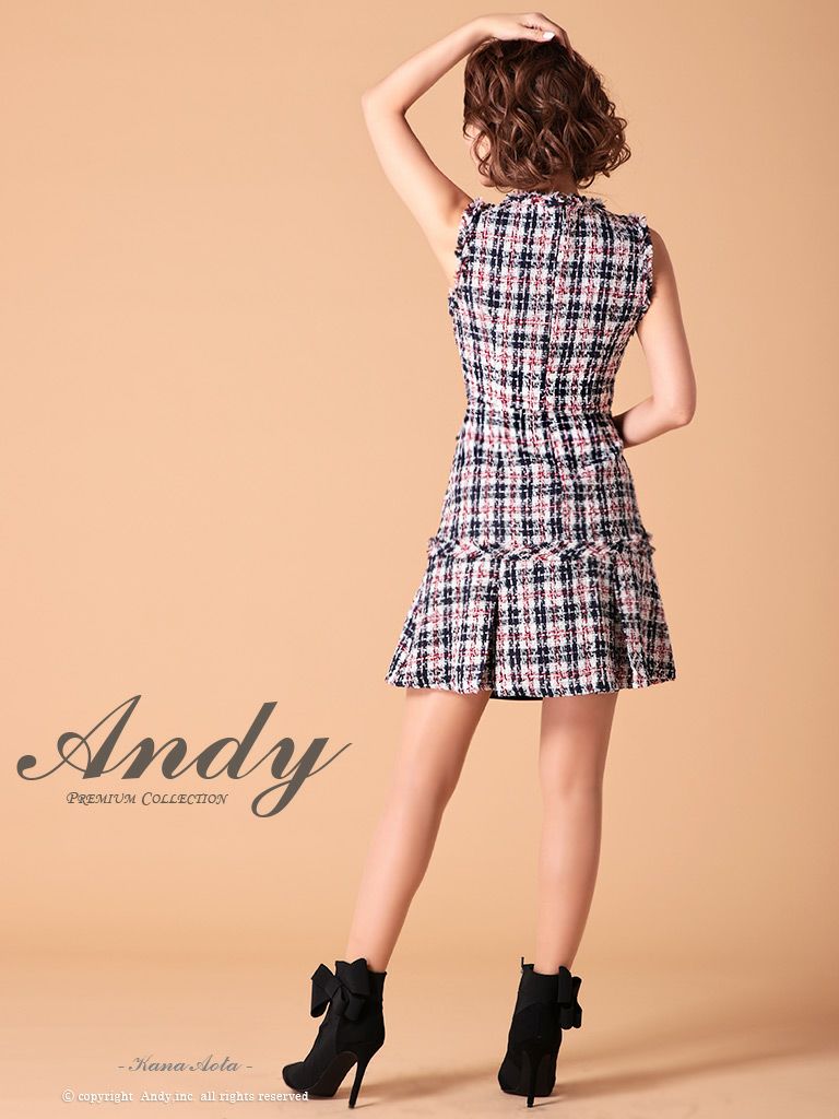 an アン　Andy ミニドレス タイト バーバリーチェック 000000020761-07.jpg?size=m&w=