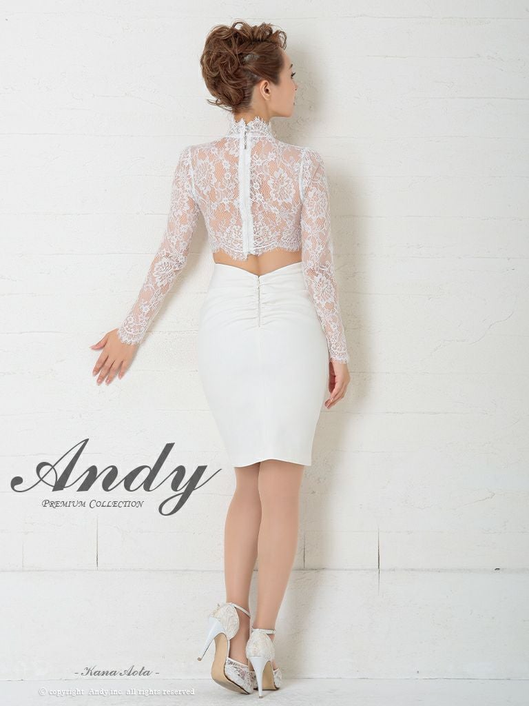 キャバドレス ミニ ドレス Andy アンディ レース カットアウト ハイネック スリット 長袖 くびれ透け タイトミニドレス