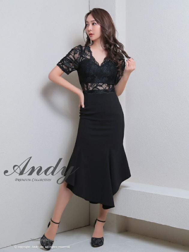 Andy/アンディ】ワンカラー レース 半袖 マーメイド シアー 袖あり