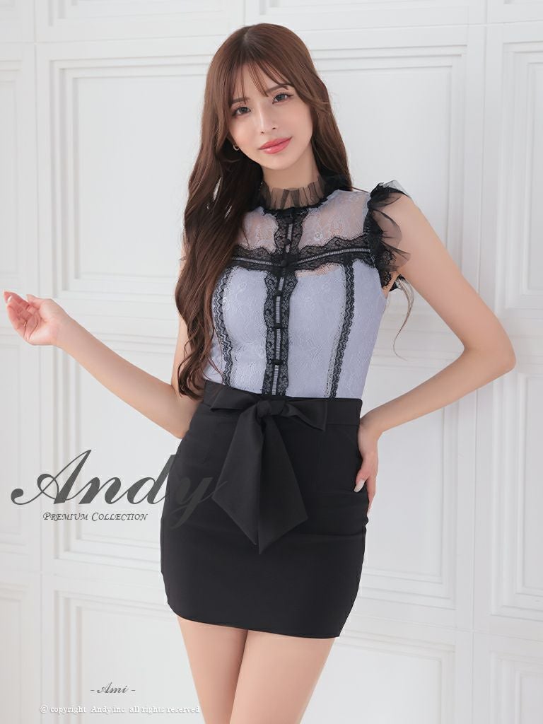 【美品】Andy アンディ 総レース タイトミニドレス リボン シアー切替 M Andy/アンディ】切り替え レース リボン ボトルネック 袖レース