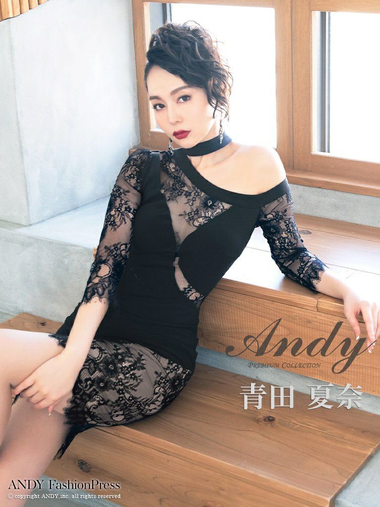 Andy/アンディ】レース アシンメトリー くびれ透け チョーカー風 袖