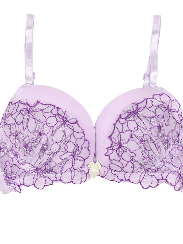 勝負下着 フラワー シアーレース ブラジャー＆ショーツ 2点セット