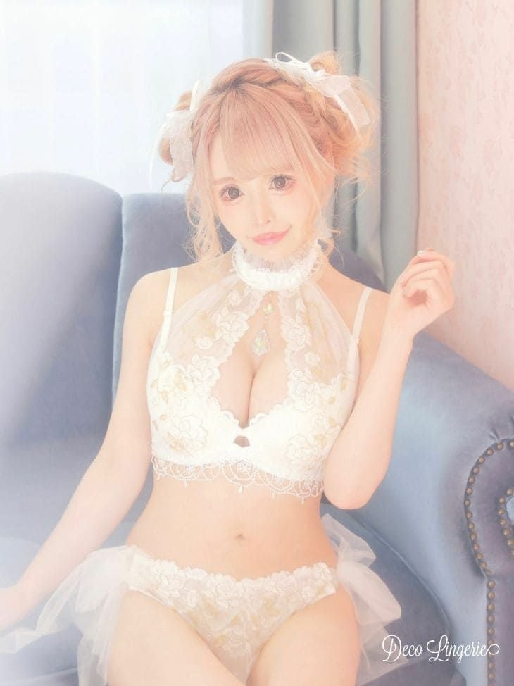 勝負下着】【Deco Lingerie/デコランジェリー】刺繍レース チュール