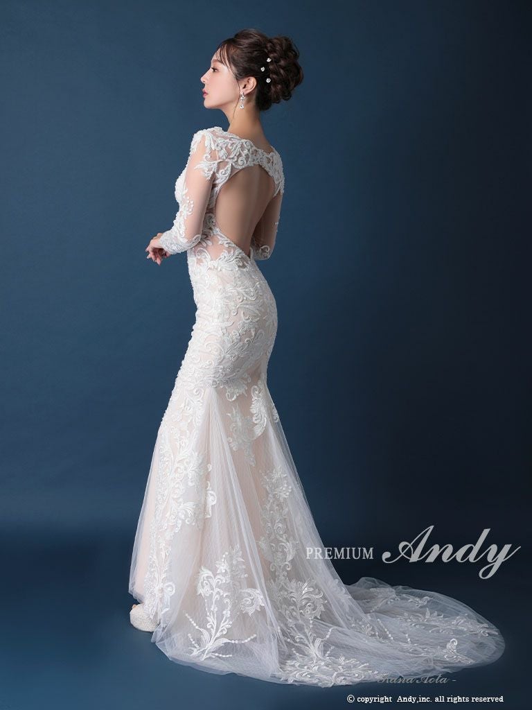 [新品] Andy 妖艶の透け感★ キャバドレス 袖ありドレス 長袖 Ｍ PREMIUM Andy/プレミアム アンディ】長袖 レース シースルー