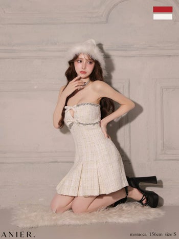 サンタコスプレ anier.ROBE アニエルローブ リボン ビジュー プリーツ ベアデザイン バストカット フレア サンタコスドレス